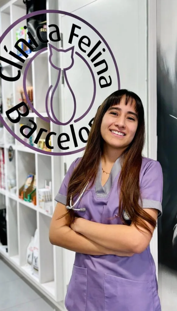 veterinaria en veterinaria felina barcelona y catsitter